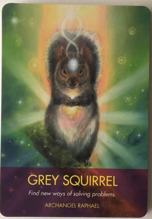 Archangel Animal Oracle